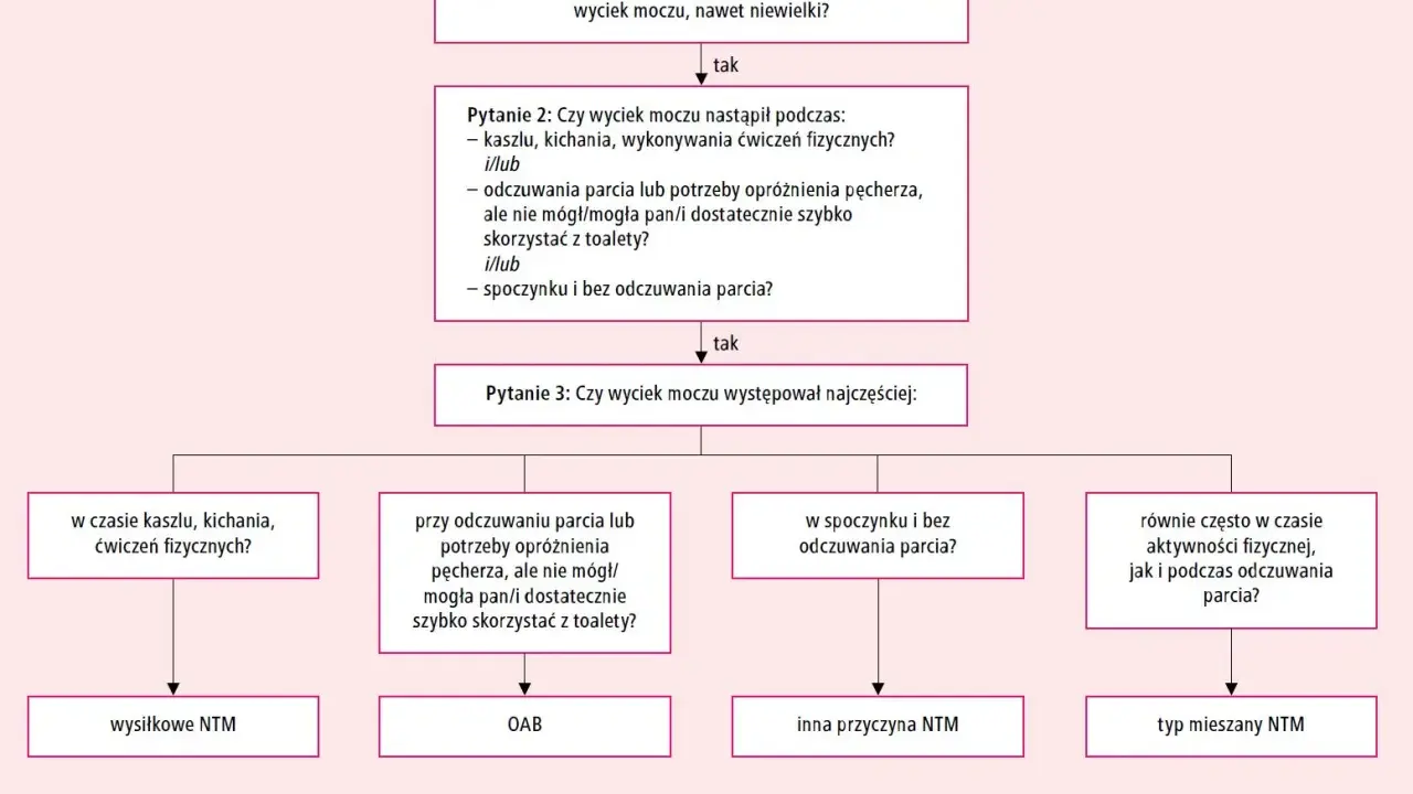 Schemat diagnostyczny nietrzymania moczu (NTM). Pytania dotyczą wycieku moczu, który może być związany z nadreaktywnym pęcherzem.