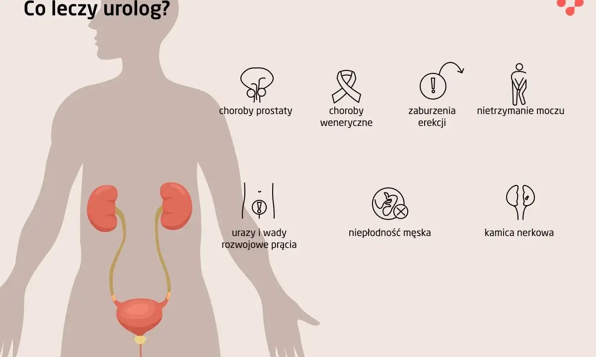 Urolog leczy problemy z układem moczowo-płciowym, w tym zaburzenia mikcji, choroby prostaty, nietrzymanie moczu, kamicę nerkową i niepłodność męską.