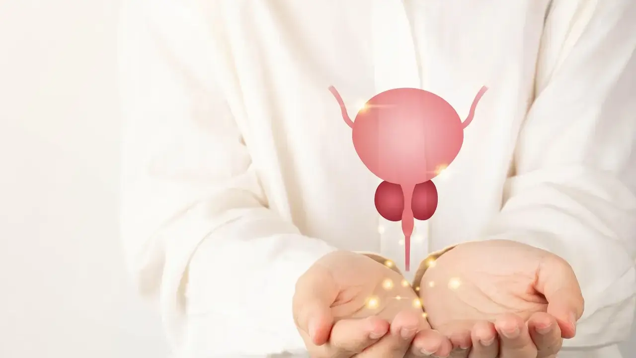 Dłonie trzymające symbol prostaty, nawiązanie do łagodnego przerostu prostaty u psa.