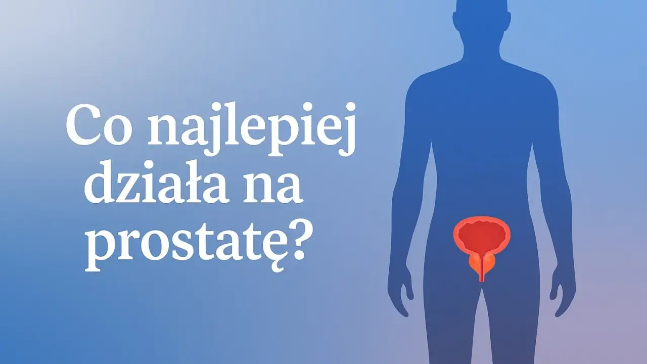 Sylwetka mężczyzny z zaznaczoną prostatą. Pytanie: "Co najlepiej działa na prostatę?". Dowiedz się, jak dbać o prostatę.