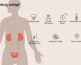 Urolog leczy problemy z układem moczowo-płciowym, w tym zaburzenia mikcji, choroby prostaty, nietrzymanie moczu, kamicę nerkową i niepłodność męską.