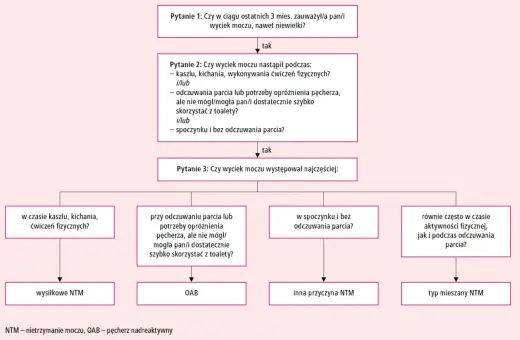 Schemat diagnostyczny nietrzymania moczu (NTM). Pytania dotyczą wycieku moczu, który może być związany z nadreaktywnym pęcherzem.