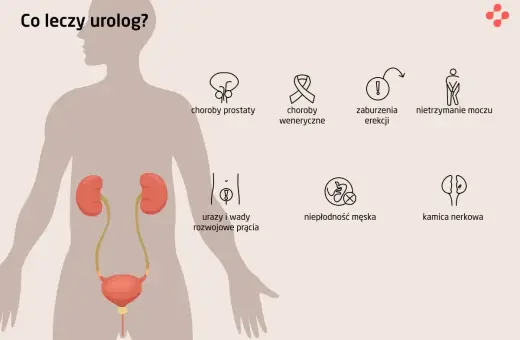Urolog leczy problemy z układem moczowo-płciowym, w tym zaburzenia mikcji, choroby prostaty, nietrzymanie moczu, kamicę nerkową i niepłodność męską.
