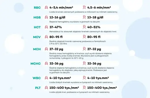 Tabela z wynikami badań krwi: RBC, HGB, HCT, MCV, MCH, MCHC, WBC, PLT. Informacje pomocne przy ustalaniu, jakie badania krwi do urologa są potrzebne.