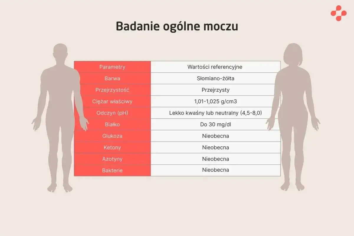 Tabela pokazuje, co jest w moczu: barwa, przejrzystość, ciężar właściwy, pH, białko, glukoza, ketony, azotyny i bakterie.